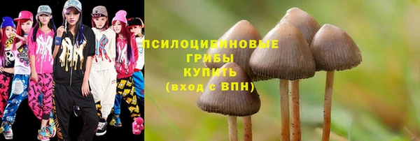 амф Осинники