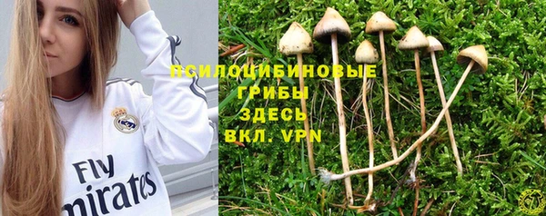 jwh Валдай