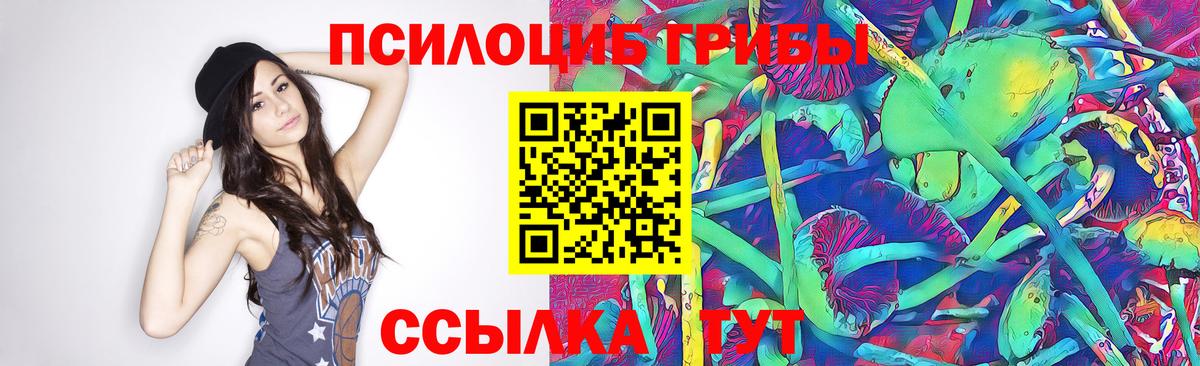 Галлюциногенные грибы MAGIC MUSHROOMS Богородицк