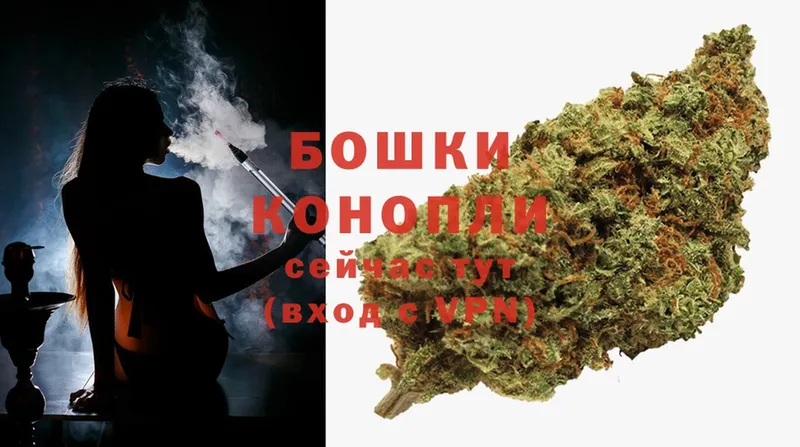 МАРИХУАНА Ganja  Богородицк 